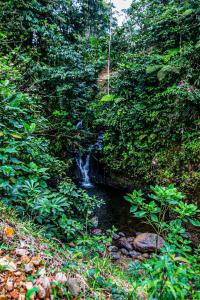 Φωτογραφία από το άλμπουμ του Bajo La Luna Suites σε Corona