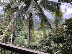 vista su una foresta tropicale con palme di Buana Asti Room and Warung with Rice Field view a Tabanan Altre 50 foto