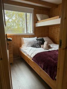 a bedroom with a bunk bed and a window at Aurora Oasis on the Golden Circle in Úthlid