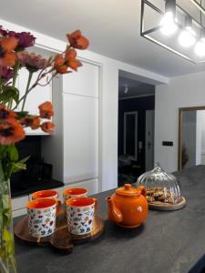 Imagine din galeria proprietății Apartament Ustrzyki Dolne "Dark-Wolf" în Ustrzyki Dolne