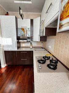 una cocina con estufa y encimera en Квартира на Шевченка, en Kamianets-Podilskyi