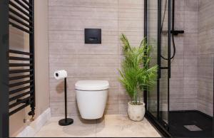 Phòng tắm tại Penthouse Apartment with Roof Terrace Belfast City Centre +68 ảnh