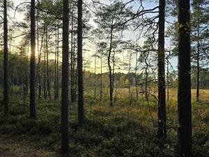Gambar di galeri bagi 4 person holiday home in Hillerstorp-By Traum di Hillerstorp