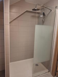 a shower with a glass door in a bathroom at Appartement loft in Mandeure