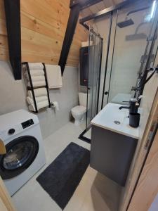 a bathroom with a washing machine and a toilet at Cottage MATEJ in Podgorica