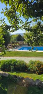 a view of a swimming pool with flowers in a park at Casa da Biquinha in Vouzela