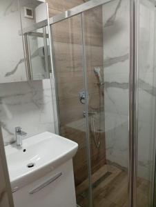 a bathroom with a shower with a sink and a glass shower stall at AiM apartman Bjelasnica in Bjelašnica