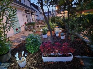 un giardino con piante in vaso e fiori in un cortile di Maison 3 chambres avec garage, proche de toutes commodités, quartier calme a Chalons en Champagne