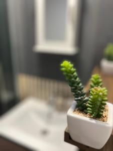 Fotografie z fotogalerie ubytování Cosy Home STUDIO v destinaci Croydon
