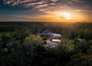 an aerial view of a house in the trees at Stone Guest House Ebenezer in Ebenezer