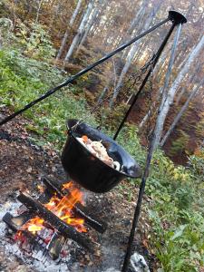 a pot hanging over a fire with a grill at Vila Krunica in Šerdanova Mahala +10 photos