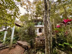 a house in the middle of a forest at Casa caracol Macario in Macario Gomez
