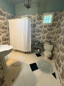 un baño con inodoro y lavabo en Historical downtown Lind House Studio, en Pensacola 2 fotos más