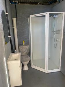 a bathroom with a shower and a toilet at Rainbow Rose in Orere Point