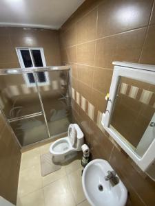 a small bathroom with a toilet and a sink at Acogedor apt con Ps5 in Los Frailes