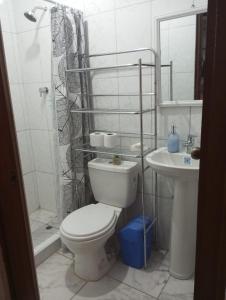 ein Badezimmer mit Toilette, Dusche und Waschbecken in der Unterkunft Departamento amoblado y comodo in San Vicente de Cañete