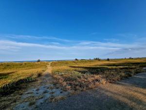 a dirt road in the middle of a field at 14 person holiday home in Væggerløse in Marielyst