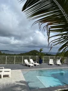 a pool with white lounge chairs and a palm tree at EDEN-RÉSIDENCE Le TOBAGO Vue Mer et Piscine in Sainte-Luce +8 photos