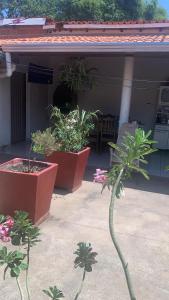 two potted plants sitting on a porch of a house at Refúgio aconchegante no coração da cidade in Carolina