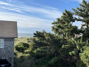 a house with trees and the ocean in the background at CHASING SUNSETS cottage in Hatteras