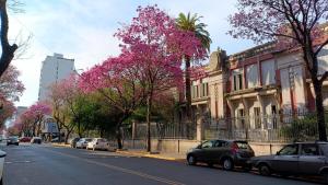 a street with cars parked on the side of the road at Apart Alameda in Paraná