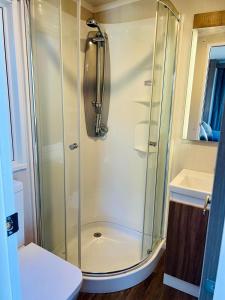 a shower with a glass door in a bathroom at Hilltop Tiny Escape Stunning Harbour & City Views in Wellington