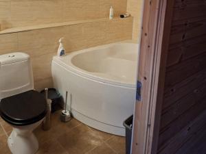 a bathroom with a toilet and a bath tub at 7 person holiday home in Grovfjord in Kovan +17 photos