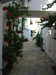 ボドルム・シティにあるMavi Apart Otelの白壁の赤いバラの散歩道