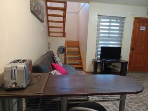 TV a/nebo společenská místnost v ubytování Departamento full equipado en Coyhaique