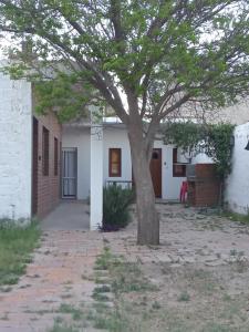 un albero di fronte a un edificio bianco di Los Jazmines depto a Cafayate