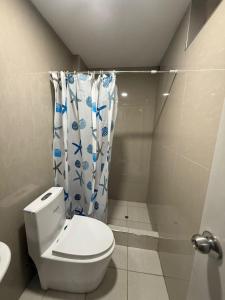 アレキパにあるVallecito Downtown Roomsの小さなバスルーム(トイレ、シャワー付)
