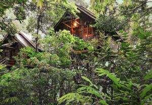 een hut in het bos met bomen bij Permai Rainforest Resort in Santubong
