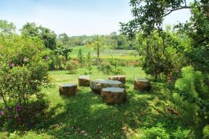 a group of logs and a table in a field at Bao Loc Lakeview Villa Garden in Bao Loc