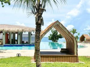 a resort with a palm tree next to a swimming pool at Newtown's Best Suites in Punta Engaño