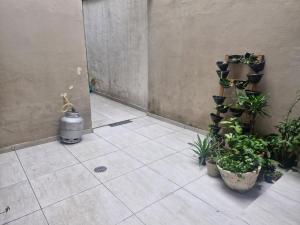 Φωτογραφία από το άλμπουμ του Aurora quatro σε Guarulhos