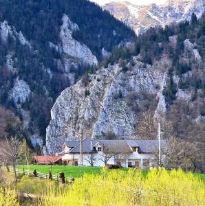 a house in a field in front of a mountain at The Origin ● Mountain Guesthouse ● Magura in Măgura