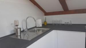 Kuchyň nebo kuchyňský kout v ubytování Apartment Azaleja