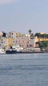 a group of buildings sitting next to a body of water at MARGIE'S HOUSE SEA VIEW - Apartment in Procida +10 photos