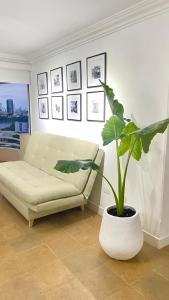 uma sala de estar com um sofá e uma planta em vaso em Cabrero Beach 1008 em Cartagena de Indias mais 16 fotografias