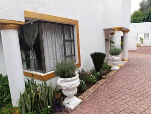 a building with plants in front of a window at Long on Hill in Johannesburg