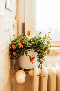 a plant in a pot hanging on a wall at Barocco Art House in Martina Franca