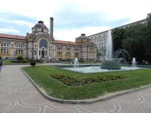 duży budynek z fontanną przed nim w obiekcie Central Hotel Sofia w mieście Sofia