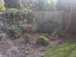 a garden with a wooden fence and some bushes at Woolpack Inn in Chichester