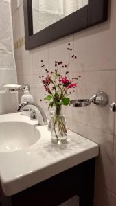 Koupelna v ubytování Cabañas Lodge el Suizo 2