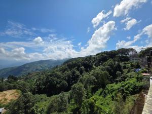 auliculiculiculiculiculiculiculiculiculiculiculiculiculiculic dans l'établissement Hotel Golden Lotus, à Bhaktapur