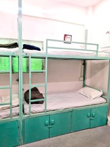 a couple of bunk beds in a room at The Nomad cave in Lucknow