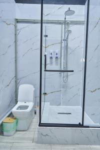 a bathroom with a shower and a toilet at Gagarin Hotel in Almaty