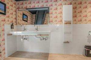 a bathroom with a sink and a mirror at Moeke Breughel in Winschoten +25 photos