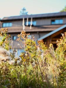 een gebouw op de achtergrond met planten op de voorgrond bij WALDGUT Naturresort in Bad Gottleuba