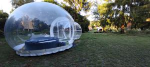 a glass dome sitting on the grass in a field at La Tiny de Lili in Draveil